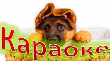 КАРАОКЕ для ДЕТЕЙ Пропала Собака