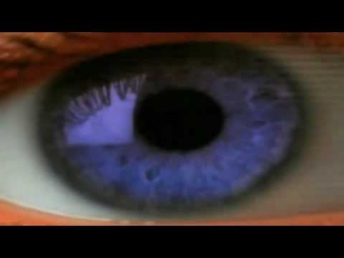 Gentleman & Friends - Changes (Reggae Allstars Riddim Blend 2009).mp4