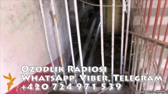 Жиззахда йўқолган 4 яшар қизчанинг ўлиги қўшни уйнинг ертўласидан топилди