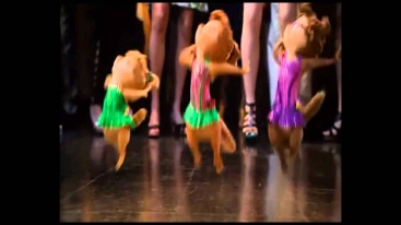 Alvin and the Chipmunks: Chipwrecked (Scene) - We No Speak Americano/Conga
