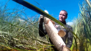 Подводная охота на Волге. Летняя нырялка 2015 часть 2. Spearfishing Volga river.