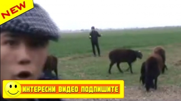Ummondanxam kuchlik guruh - Papuri kliplari bilan (Yangi uzbek klip 2015)