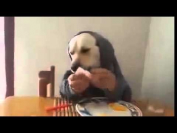 Видео Прикол. Человек-собака кушает!!! 2014!!!