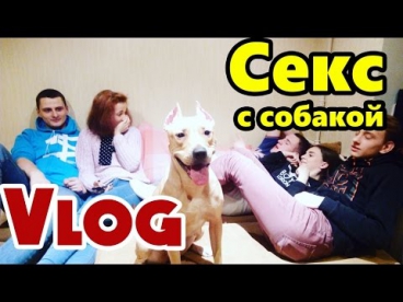 VLOG : Секс с собакой | Зацеп | Вписка дома / Stas Agapov