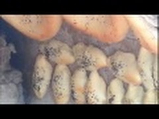 Оддий Ўзбек уй нони ва кўк сомса.O`zbek noni va ko`k somsasi