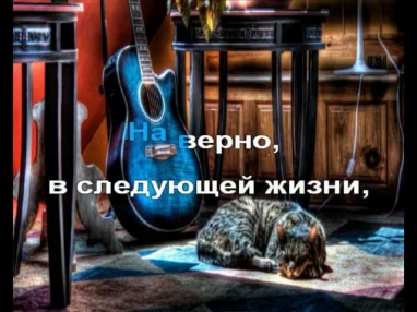 М. Ржевская - Когда я стану кошкой.avi(караоке)