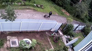 Узбек ворует.... Скотина этакая. Скрытая камера.