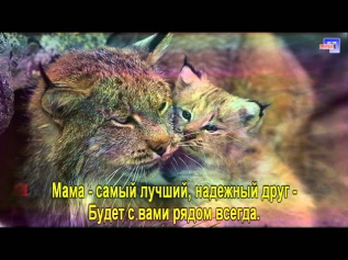 Мама - первое слово