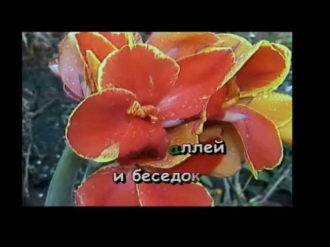 Высоцкий - 