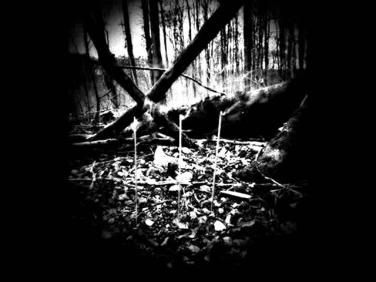 .: Aeoga ~ Let The Sun Become Your Eye :.