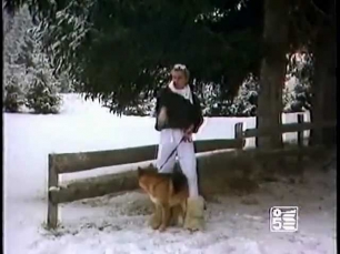 Den Harrow - Mad Desire (winter video version 1985).VOB
