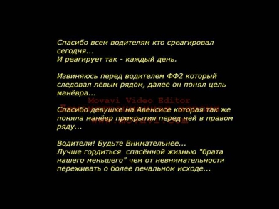 Спасение котёнка на дороге. 02.07.2013