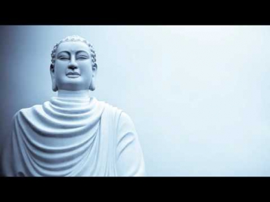 TJ Rehmi - 'The Warm Chill'