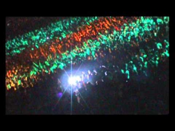 Zik Matutero - Fairy On Mushroom.wmv