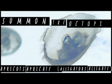 Summon the Octopi - Apricots Apricate (Alligators Alligate)
