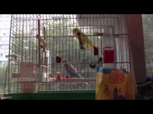 Петя хороший