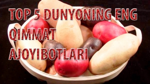 Top 5 dunyonin eng qimmat ajoyibotlari uzbek film