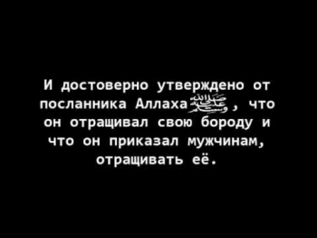 Мудрость в отращивании бороды. шейх аль-Гъудайян.