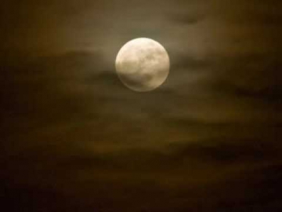 Sia- Moon