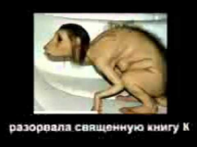 Девушка превратилась в крысу