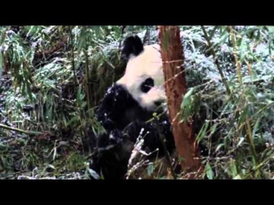 ► Захар - Слухай, Зима! |Video of Winter 2014|
