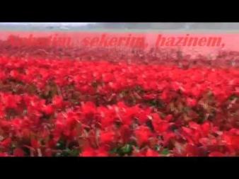 Muhtesem yuzyil - Sultan Suleymanin ask siirleri (Великолепный век-стихи) .avi