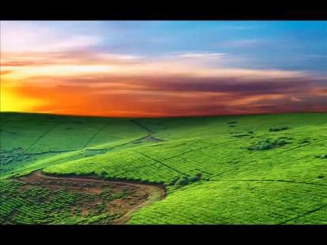 Группа Они   Ты мой Бог wmv