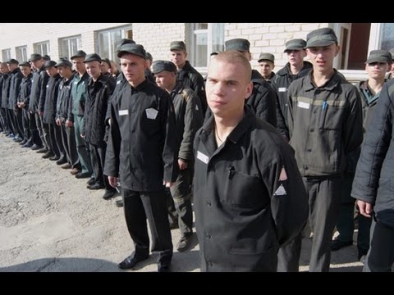 Малолетка авторитеты, блатные, петухи все в одном месте на зоне и тюрьме