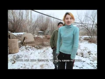 TB Uzbekistan.flv