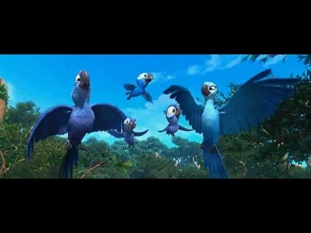 RIO - Real in Rio - Beginning and End of the Movie