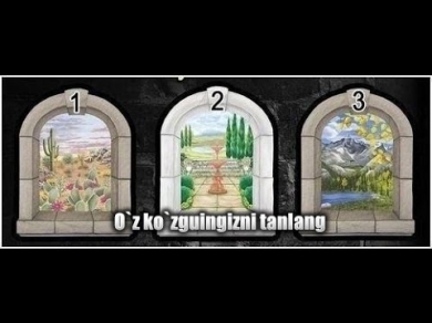 O`z ko`zguingizni tanlang