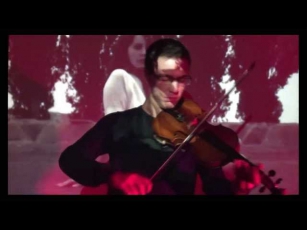 Lana Del Rey - Summertime Sadness (Violin Cover)