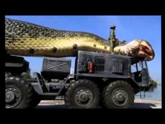 САМАЯ БОЛЬШАЯ ЗМЕЯ В МИРЕ! Энг катта Илонлар АНАКОНДА. anaconda.