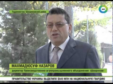 Виноделы Таджикистана восстанавливают былую славу своей продукции.