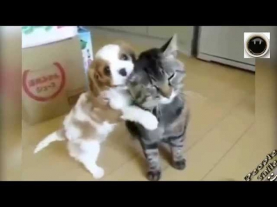 Милашки !!! :)