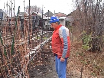 Виноградник деда Ивана (часть 4)