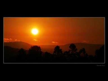 Fuel - Halos of the Sun
