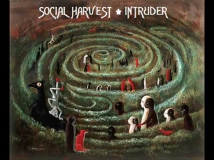 Social Harvest - Intruder