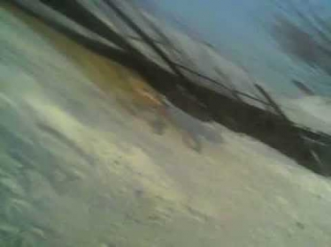 Сабака+Человек=непонятное порно(Смотреть всем РЖАКА)