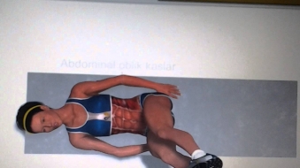 Qarın əritmək üçün idman hərəkəti