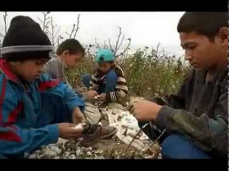 O`zbek bolalari pahta dalasida!HAYRULLA HAMIDOV/Uzbek cotton guys on the field/