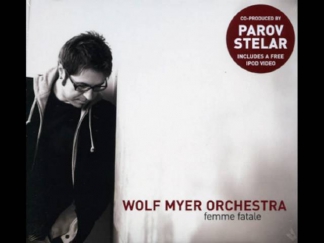 Wolf Myer Orchestra - Caught feat. Rebecca Kolland